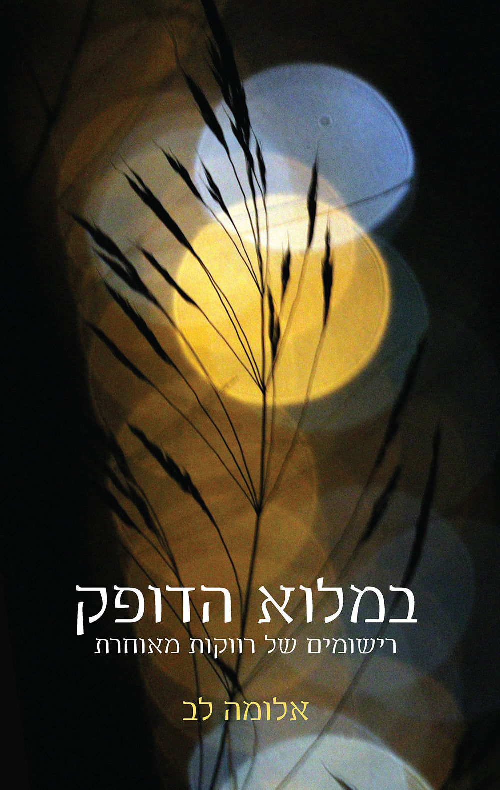 במלוא הדופק