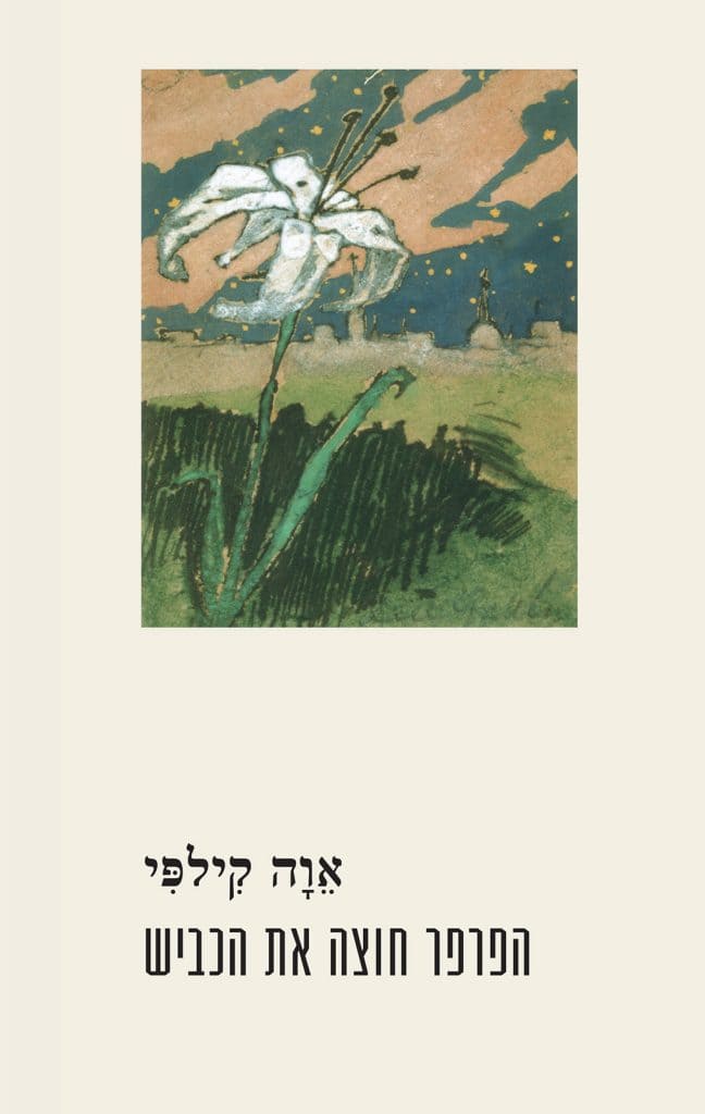 הפרפר חוצה את הכביש