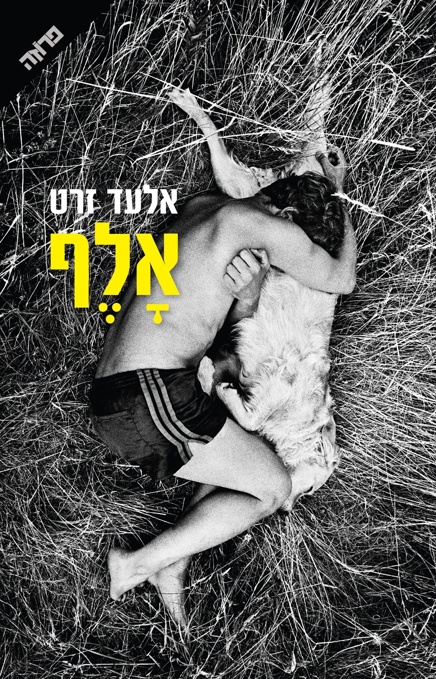 אלף