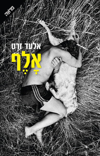 אלף