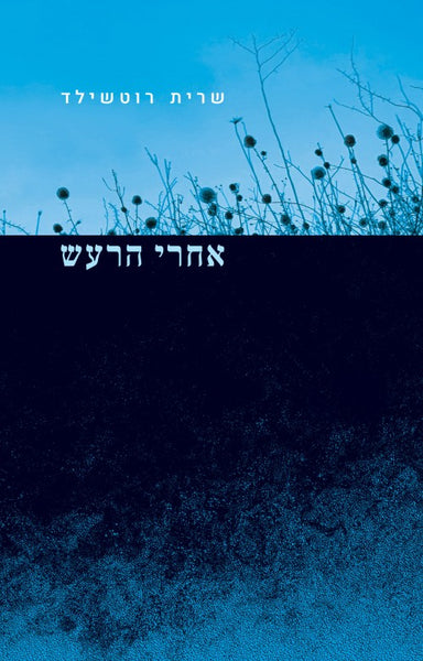 אחרי הרעש