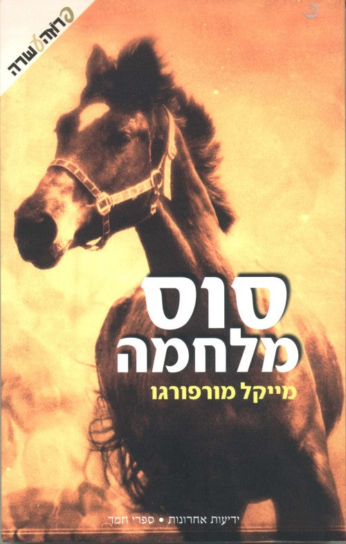 סוס מלחמה