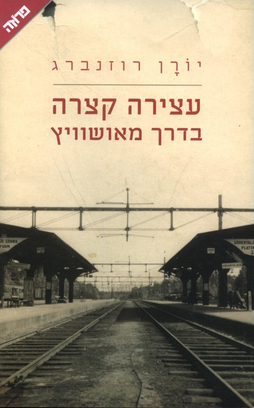 עצירה קצרה בדרך מאושוויץ