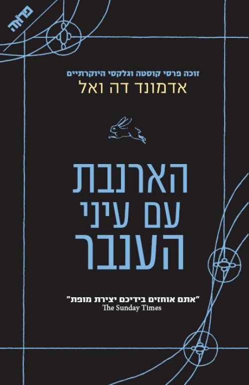 הארנבת עם עיני הענבר