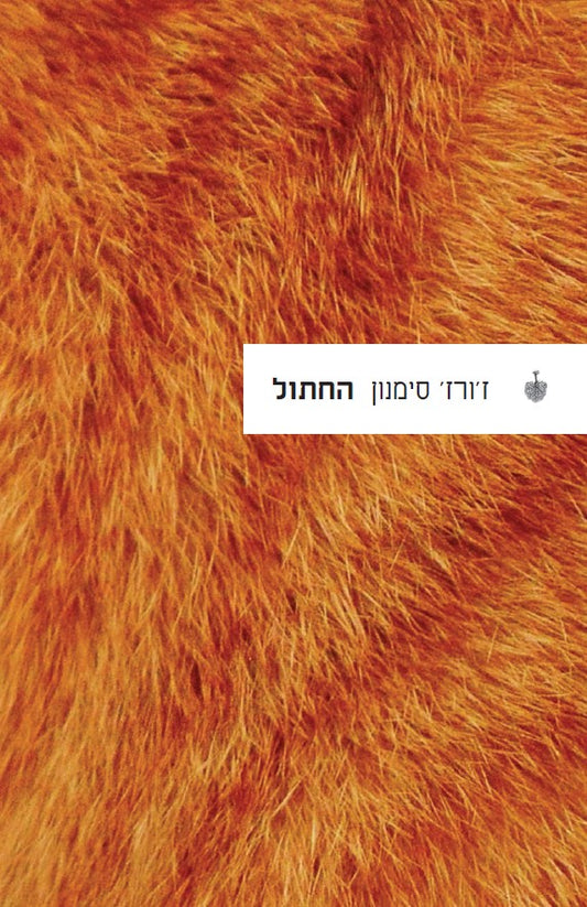 החתול