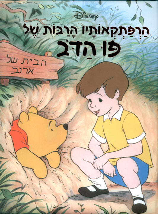 פו הדב - הרפתקאותיו הרבות (אלבומי כ. קשה)